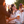 Laden Sie das Bild in den Galerie-Viewer, YOLO BLOND 12x33cl – Ein Bier, tausend Aromen!

